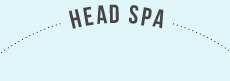 Head spa