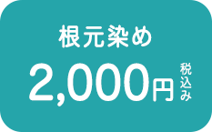 根元染め2,000円税込み